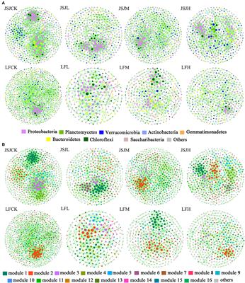 Impact of clomazone on bacterial communities in two soils